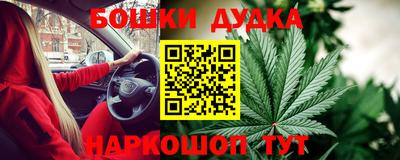 мдпв Новодвинск