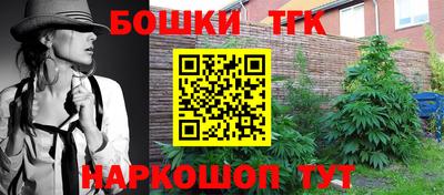 амф Новозыбков