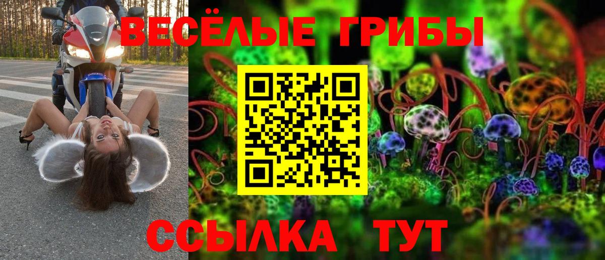 Саратов  Галлюциногенные грибы мицелий  Вход с VPN  Псилоцибиновые грибы Psilocybine cubensis 