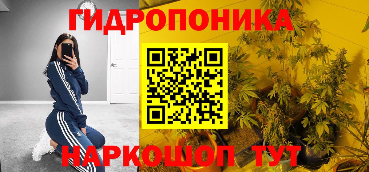 Шишки марихуана Bruce Banner Саратов